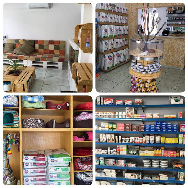 Foto 1 Conceito Pet Store