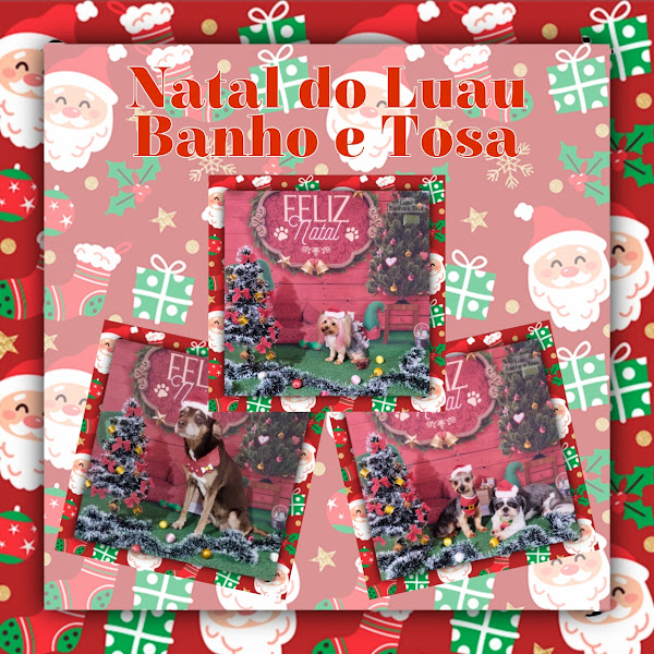 Foto 1 Luau Pet Shop