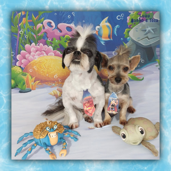 Foto 3 Luau Pet Shop