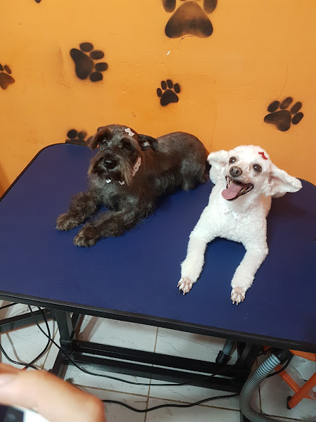 Foto 4 Luau Pet Shop