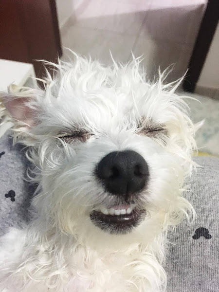 Foto 2 Maximus Agropet