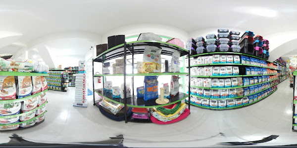 Foto 4 Pet Mendes - Chile