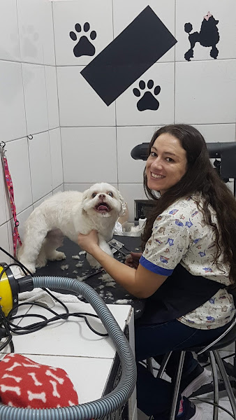 Foto 1 Espaço do Cão Foto 1 Espaço do Cão