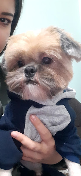 Foto 4 Clubinho Petshop