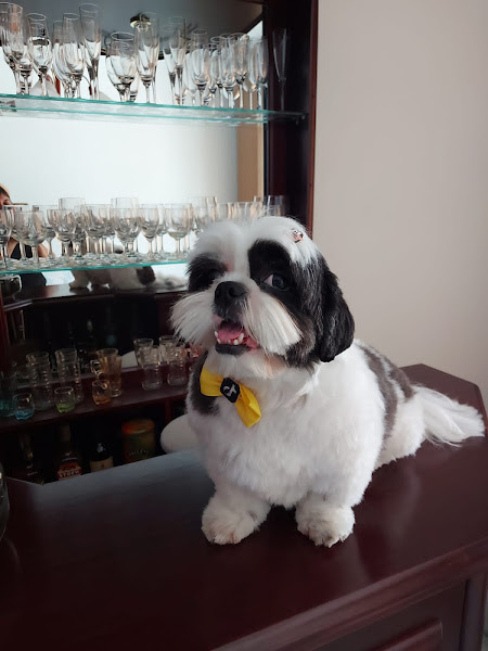 Foto 1 Popular Pet - Sorocaba