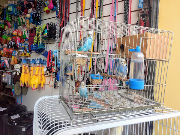 Foto 3 Athena Pet's Banho e tosa, ração e medicamentos