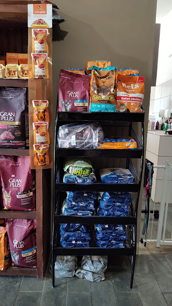 Foto 1 Cão Contente Banho e Tosa