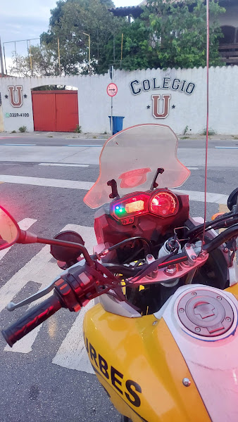 Foto 1 Pet Shop Bem Locão