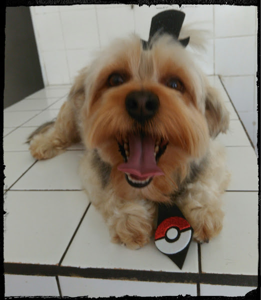 Foto 5 PIT CÃO PET CENTER