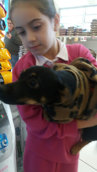 Foto 6 BEM ESTAR ANIMAL PET SHOP