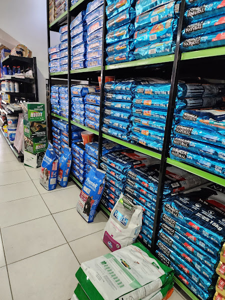 Foto 1 Pet Mendes Nogueira Padilha