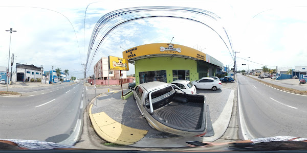 Pet Mendes - Carlos Mendes