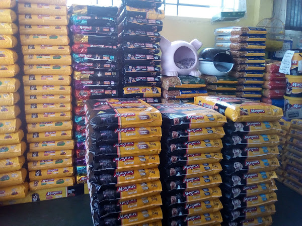 Foto 4 Pet Mendes - Carlos Mendes