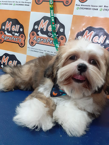 Foto 1 Mell Agropet's