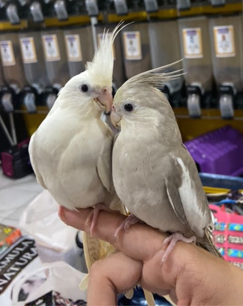 Foto 2 Pet Stop Agropet