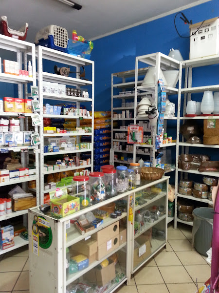 Foto 3 Agro Fortuna Foto 3 Agro Fortuna