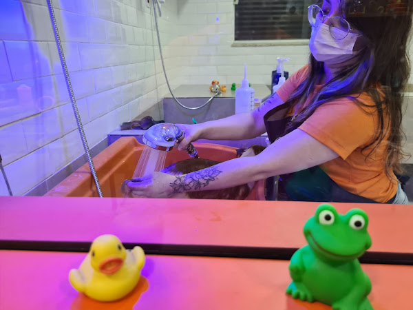 Foto 6 Dudu e Edu Pet Store