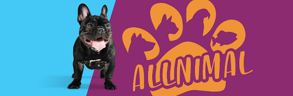 Allnimal Pet Outlet