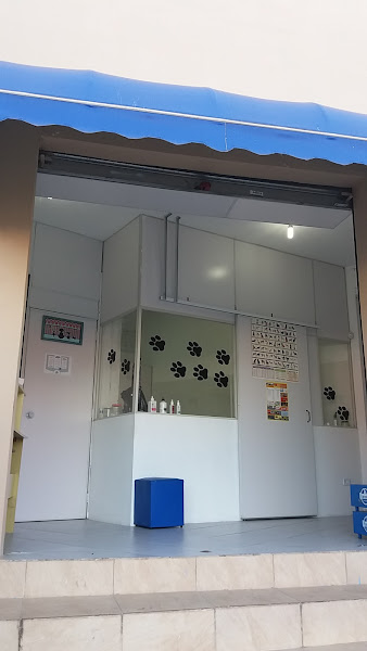 Banho e Tosa Espumacao