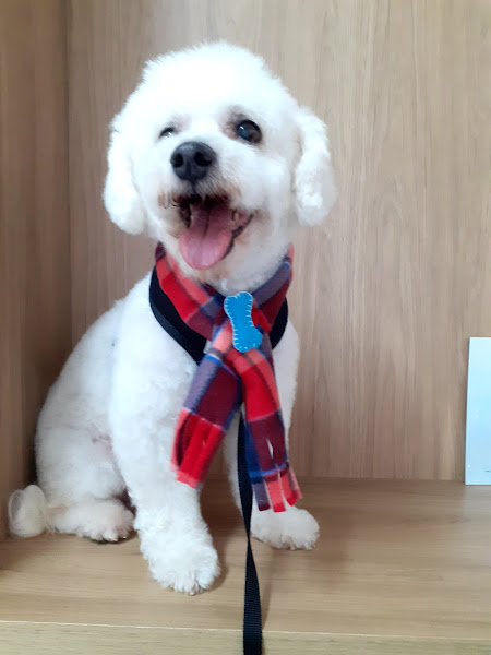 Foto 2 Clínica Veterinária Miranda