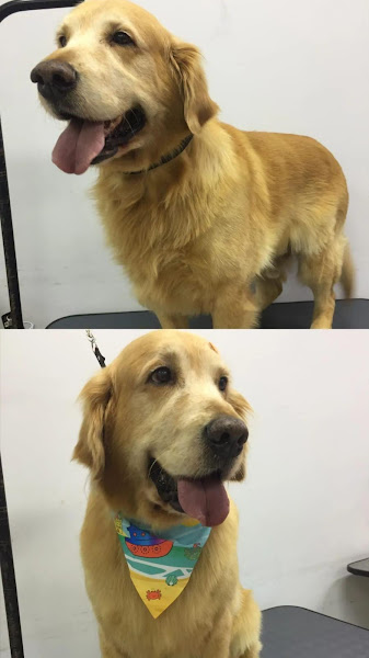 Casa de ração Agro Nova