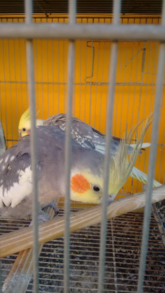 Foto 2 Agro-Negri Foto 2 Agro-Negri