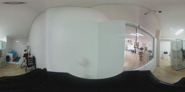 Foto 1 Mah Pets Banho, Tosa e Creche