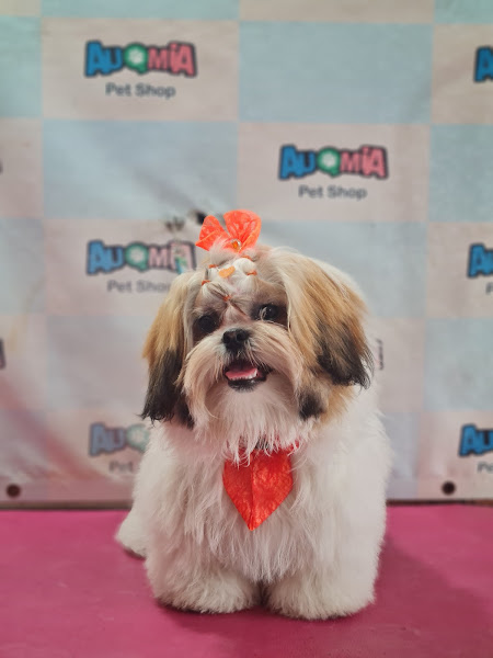 Foto 2 AuqMia pet shop