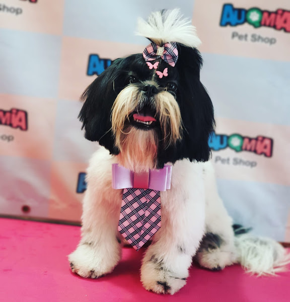 Foto 4 AuqMia pet shop