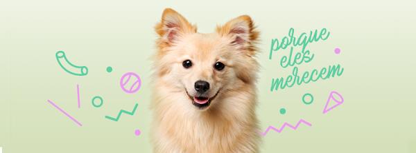 Foto 1 Banho e Tosa Pet-Chic