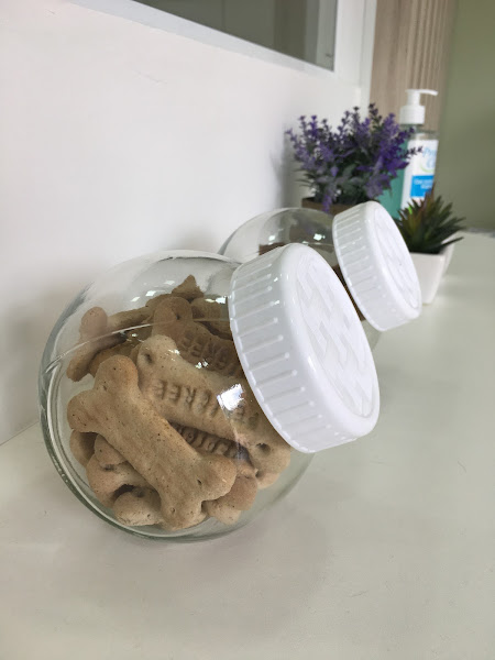 Foto 5 Banho e Tosa Pet-Chic