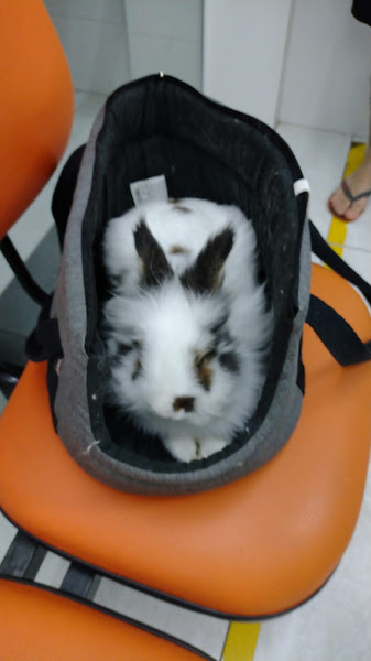 Foto 3 Nutrimed - Ipanema