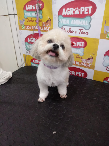 Foto 3 Agro Pet Vida Animal