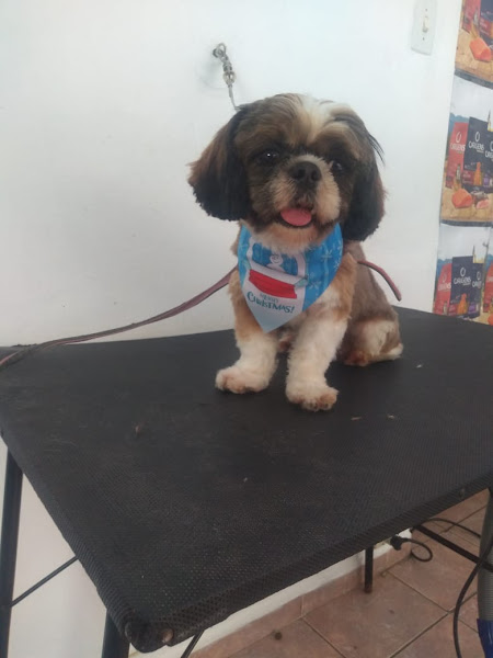 Foto 2 Mimus pet shop Foto 2 Mimus pet shop