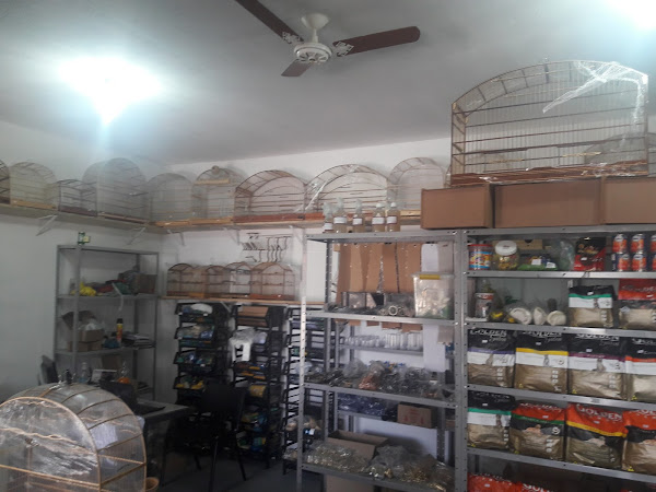 avicultura Cantinho Dos Passaros Pet
