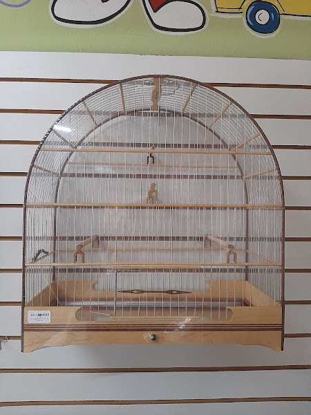 Foto 6 avicultura Cantinho Dos Passaros Pet