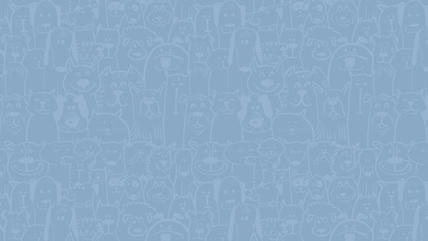 CÃES & GATOS Clínica Veterinária Sorocaba