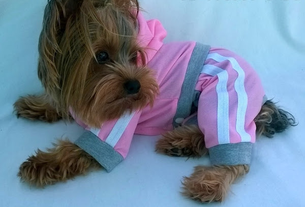 Costurinhas & Mimos Costurinhas & Mimos