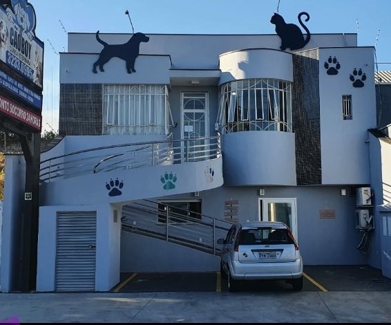 Foto 1 Cãoboy Clínica Veterinária