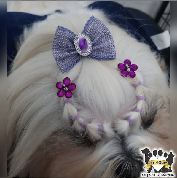 Foto 3 Pet Gobis - Estética Animal