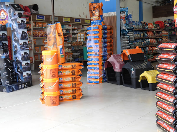 Foto 1 Avicultura Mundo Animal