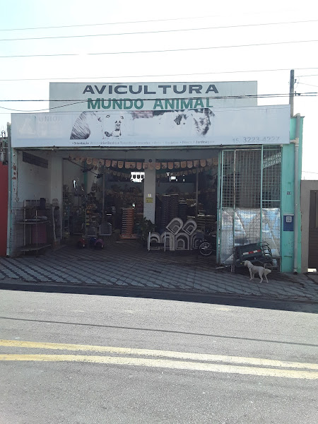 Foto 5 Avicultura Mundo Animal