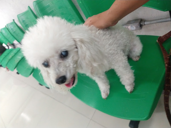 Foto 3 FAS - Fundação Alexandra Schlumberger - Zona Norte (Unidade 2)