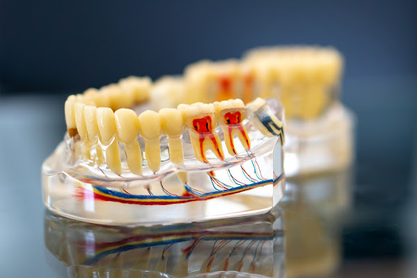 Foto 3 Única Odontologia | Clínica Odontológica em Sorocaba