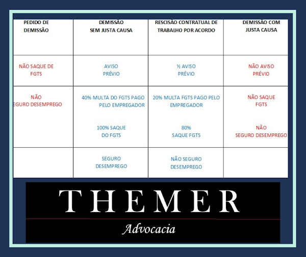 Foto 2 Fernanda Themer - Advogada