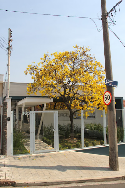 Foto 2 Jorge Vicente Luz Advogados Associados