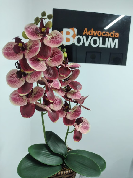 Foto 1 Advocacia Bovolim