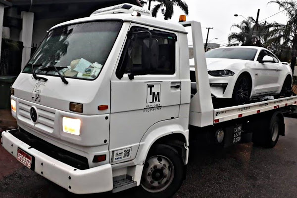 TM REMOÇÕES TM REMOÇÕES