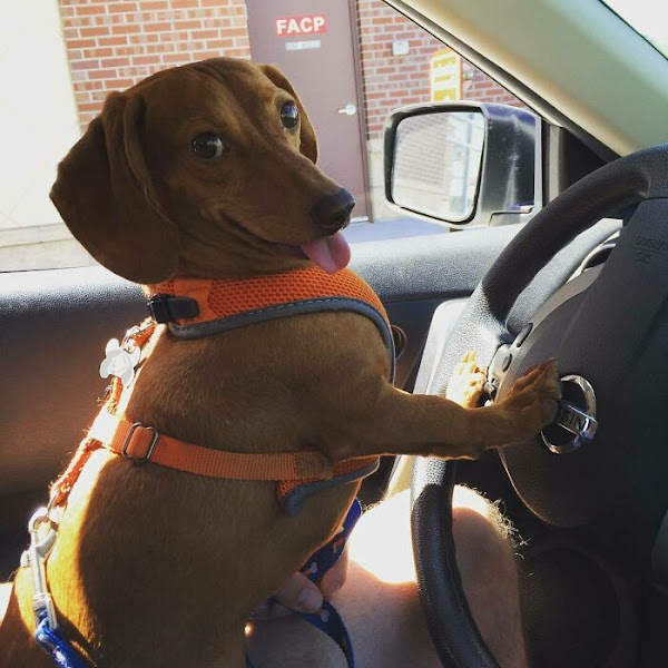 Sorocabano Materiais para Construção