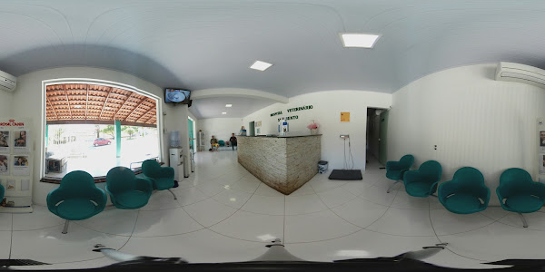 Foto 5 Hospital Veterinário São Bento - ABERTO 24 HORAS